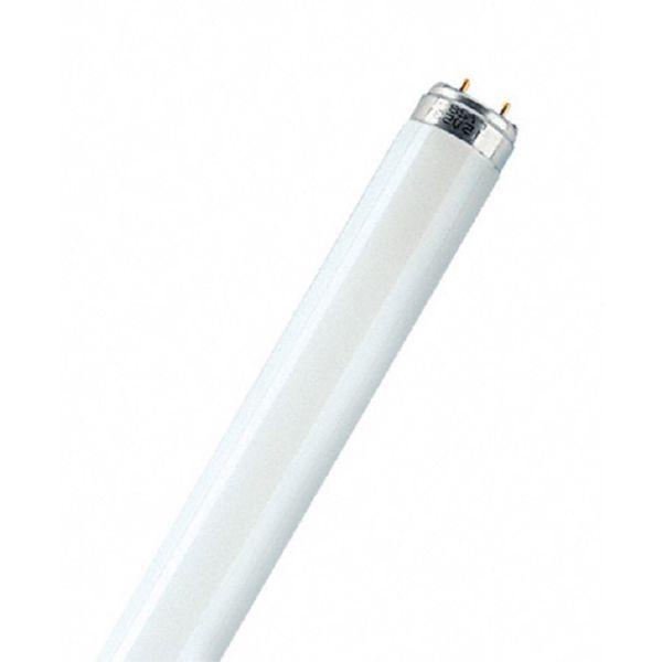 FLUORESCENTE  36 W  DIA-865 1200MM